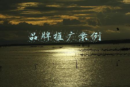 品牌推广案例ppt(传统品牌VS新消费品牌的营销差异（30页PPT干货）)
