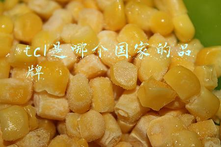 tcl是哪个国家的品牌