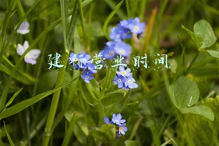 建行营业时间