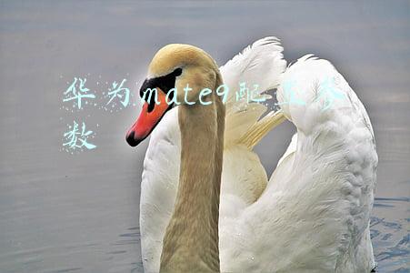 华为mate9配置参数 华为mate9配置参数