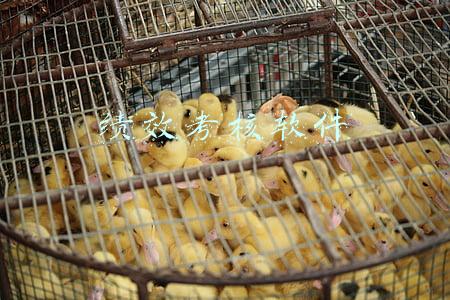 绩效考核的工具(干货｜102个绩效考核工具，总有一种是你想要的)