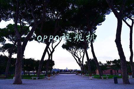 oppo旗舰机是哪一系列(干掉骁龙8？OPPO Find X5系列蓄势待发：首款天玑9000手机)