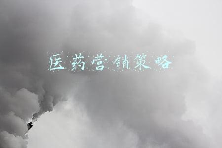 医药营销(《医药市场营销实务》)