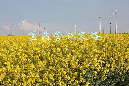 医药营销策略都有哪些(医药人做好产品销售的4大对策)
