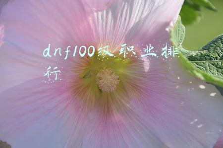dnf100级职业排行