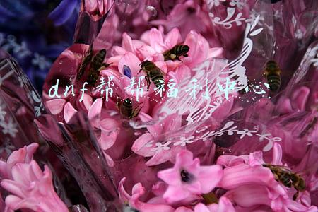 dnf福利中心网站(偶遇骗子发DNF福利网址 差点被盗号 千万不要贪小便宜呀)