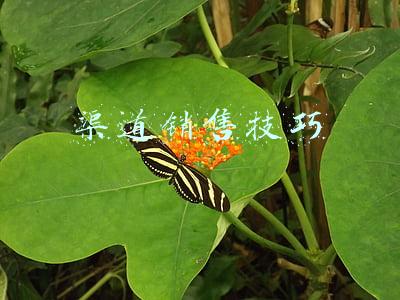渠道销售技巧