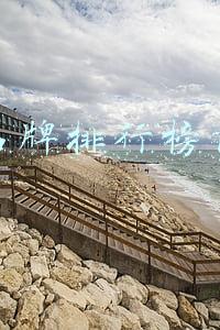 上海粽子品牌排行榜前十名(上海14家最好吃的粽子店，一天卖出上万个，排队都不一定买的到)