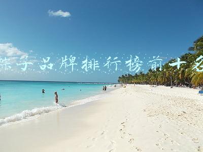 粽子品牌排行榜前十名