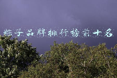 粽子品牌排行榜前十名销售量(全国2021年粽子测评出炉，嘉兴真真老老粽子排名第二，谁排第一？)
