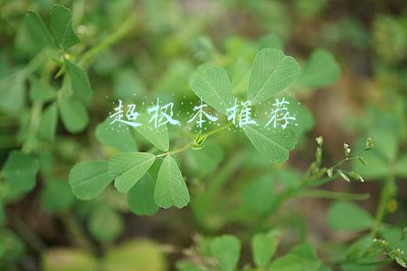 超极本推荐2020(历史大神七月新番的《新书》完结了，王莽穿越现代，你能接受吗？)