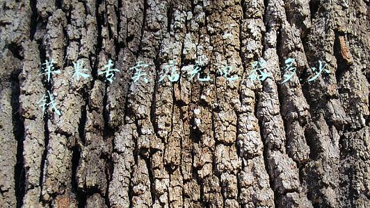 手机店苹果充电器多少钱，实体店苹果手机充电器多少钱