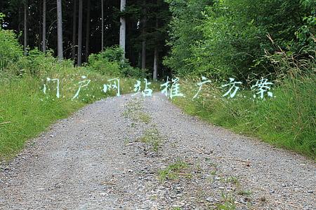 门户网站推广方案