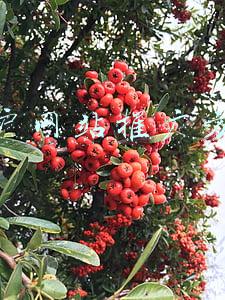 门户网站推广方案