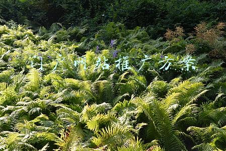 门户网站推广方案