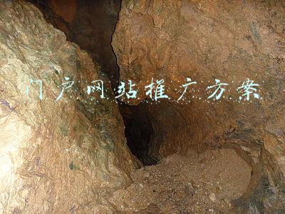 门户网站推广方案