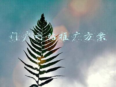 门户网站推广方案