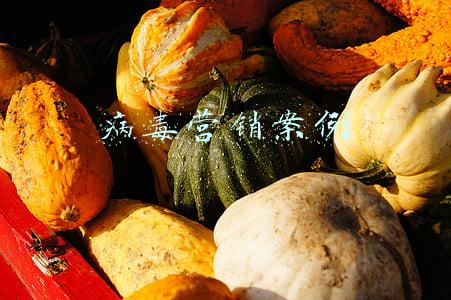 病毒营销案例