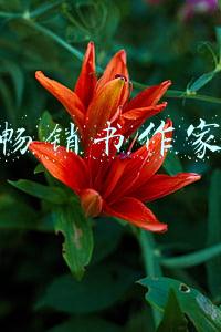 畅销书作家