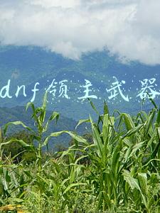 dnf领主武器