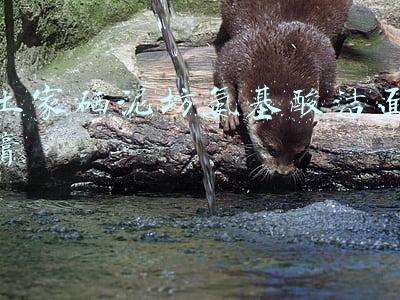 土家硒泥坊氨基酸洁面膏