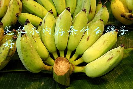 笔记本内存条什么牌子好一点(国产颗粒朗科超光内存条上手，笔记本内存扩容好选择)
