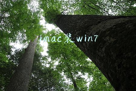 imac装win7