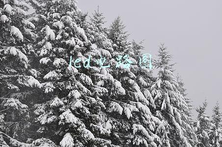 ta3723led电路图(破3723亿！福建人“剁”到全国前十，人均购买最多的是TA)