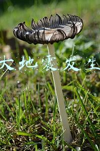 唐山大地震发生时间