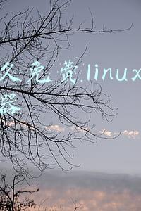 搭建linux服务器(Linux系统搭建FTP服务器教程)