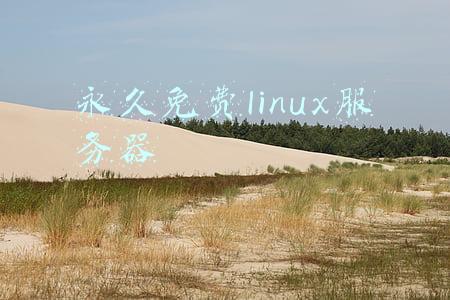 服务器 linux(什么是 Linux 服务器，你的业务为什么需要它？)