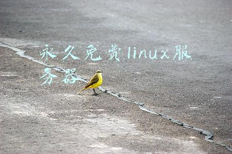 永久免费linux云主机(免费且安全：一文教你用闲置主机搭建私人云盘)