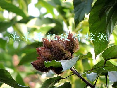 苹果手机硬件检测