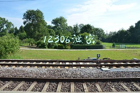 12306泄密