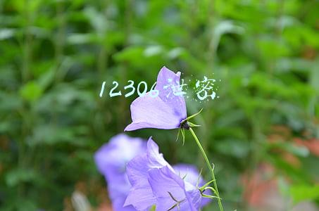 12306泄密