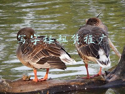 写字楼租赁推广 写字楼租赁推广