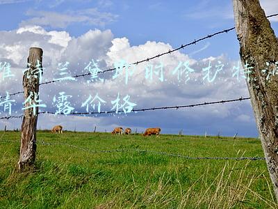 雅诗兰黛七代特润精华(夏可叔叔扒产品——雅诗兰黛第7代小棕瓶)