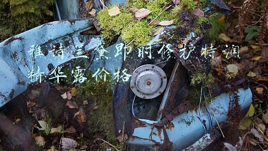 雅诗兰黛特润精华露(万千挚爱修复圣品雅诗兰黛特润修护肌透精华露评测)