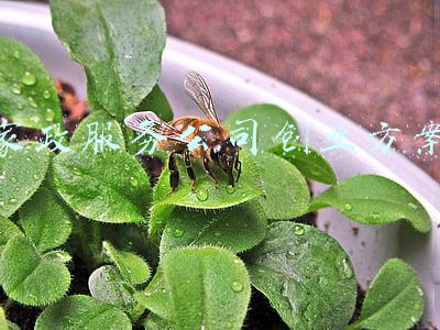 家政服务公司创业方案 家政服务公司创业方案