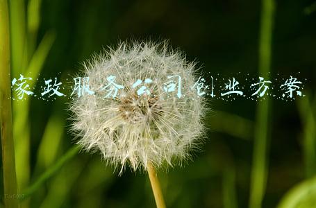 关于家政创业活动方案(首个全国家政服务类大赛在沪举行，111个创业项目参赛)