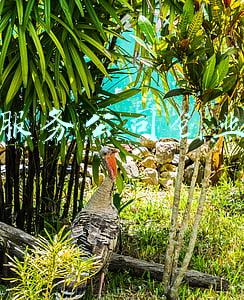 家政服务公司创业方案 家政服务公司创业方案