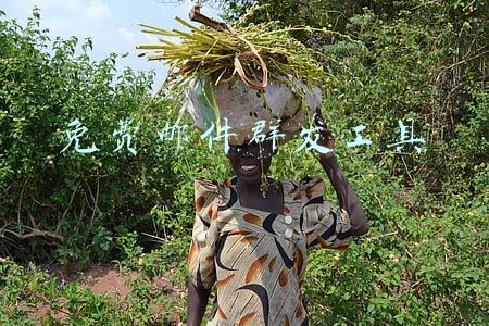 免费邮件群发工具