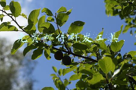 邮件自动发送软件(python自动发送邮件或实现邮件营销)