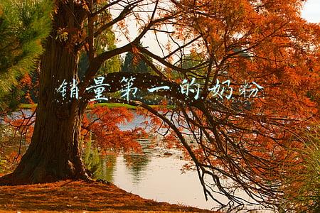 销量第一的奶粉