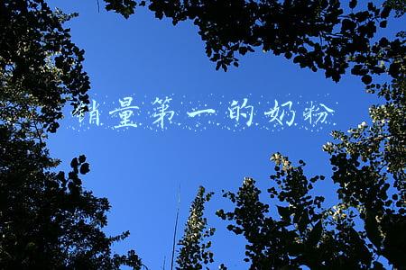 销量第一的奶粉叫什么(中国奶粉第一品牌：销量百亿超伊利君乐宝，连董明珠都说“买它”)