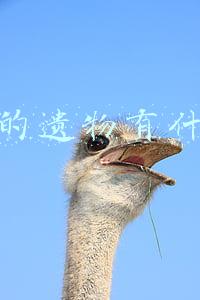 修复的遗物有什么用