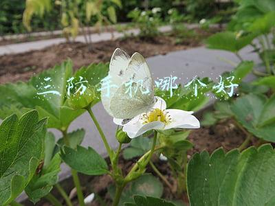 三防手机哪个牌子比较好(「三防」3699起 抗摔耐冻AGMG1发布 调侃苹果13Pro最性价比？)