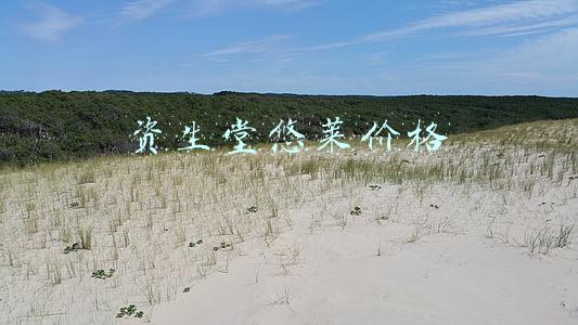资生堂悠莱价格