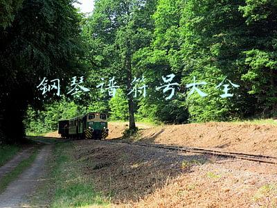 钢琴谱符号大全