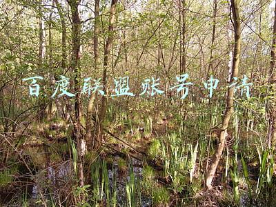 百度联盟账号申请